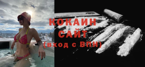 стаф Козловка
