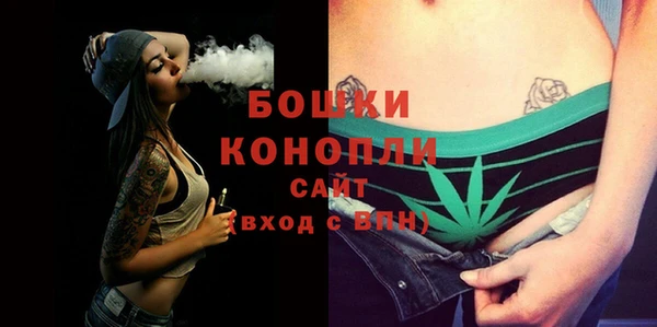 мдпв Козельск