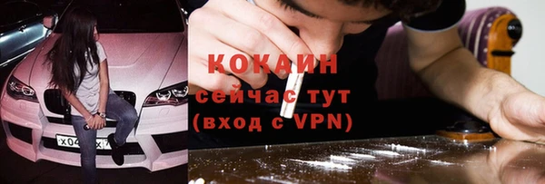 стаф Козловка