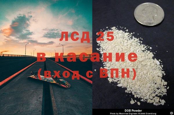 стаф Козловка