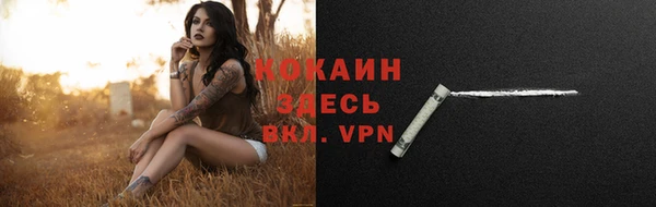 гашик Кодинск