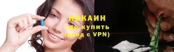 мдпв Козельск