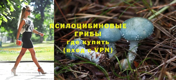 гашик Кодинск