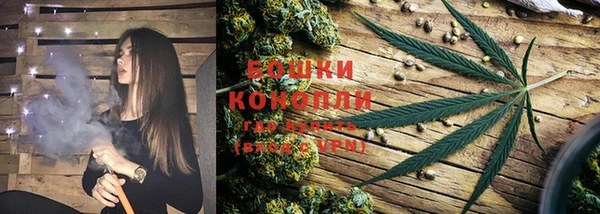 стаф Козловка