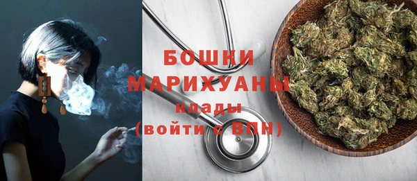 мдпв Козельск
