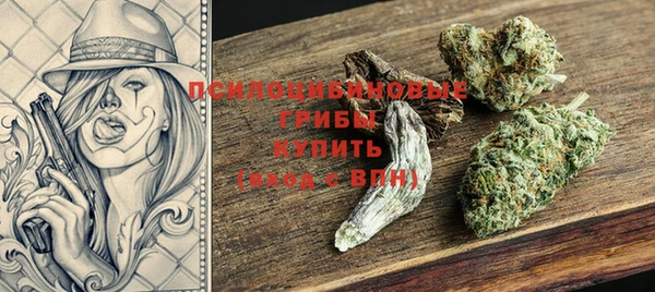 стаф Козловка