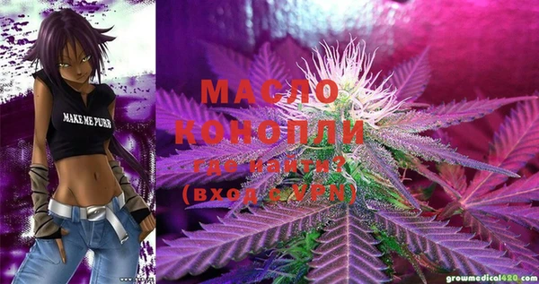 мдпв Козельск