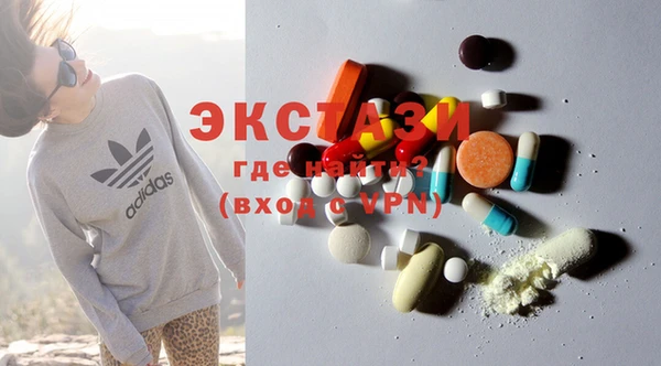стаф Козловка