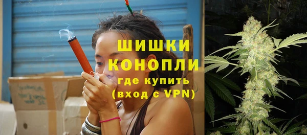 мдпв Козельск
