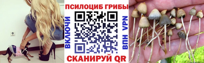 Псилоцибиновые грибы прущие грибы  Купить  Бобров 